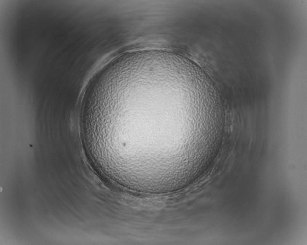 X0000071940004200607141445