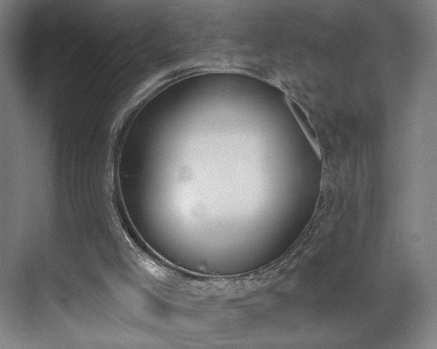 X0000071940005200607141445