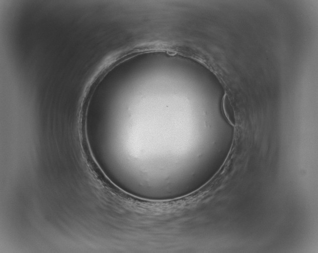 X0000071940006200607141445