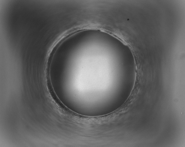 X0000071940007200607141445