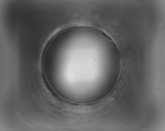 X0000071940008200607141445