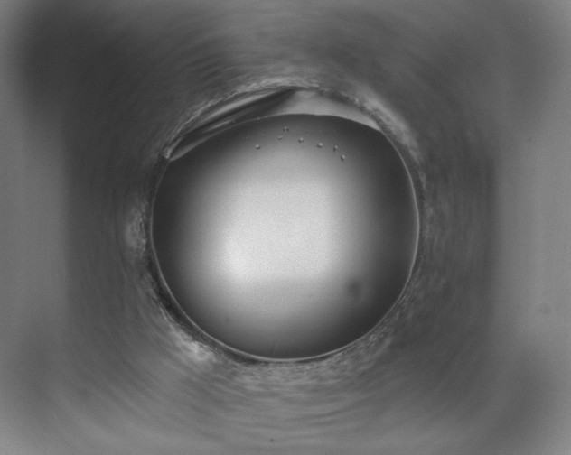 X0000071940009200607141445