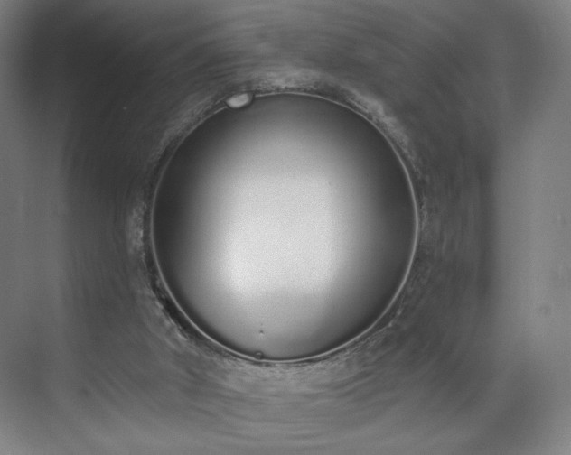 X0000071940010200607141445