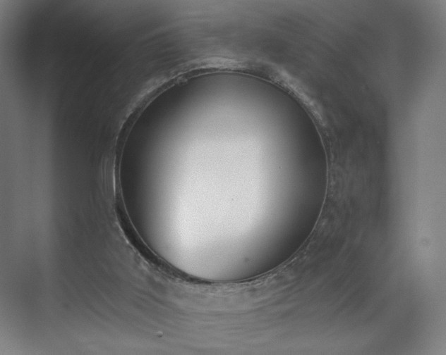 X0000071940011200607141445