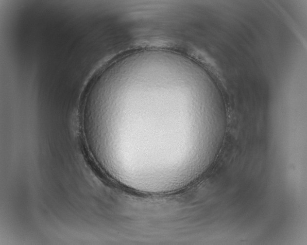X0000071940012200607141445