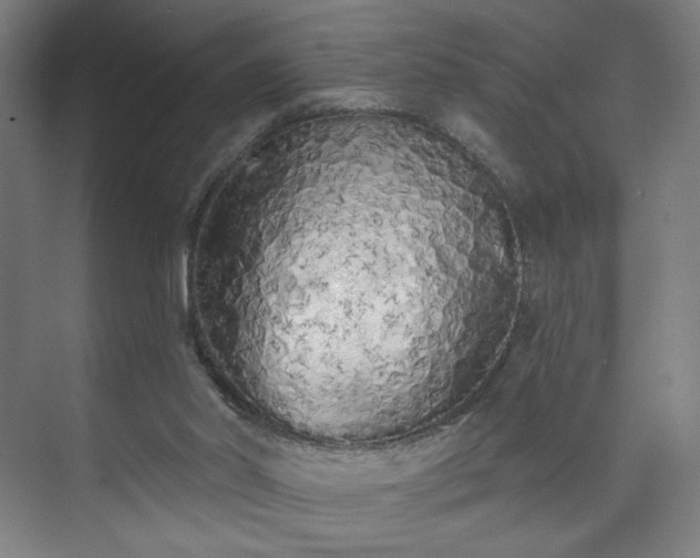 X0000071940014200607141445