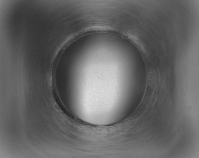 X0000071940015200607141445