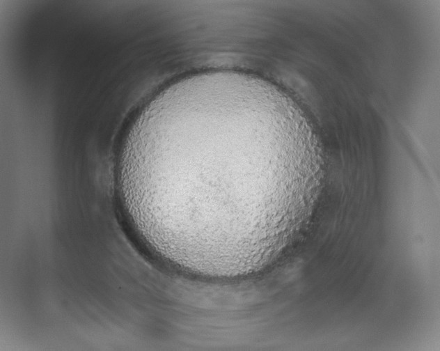 X0000071940016200607141445