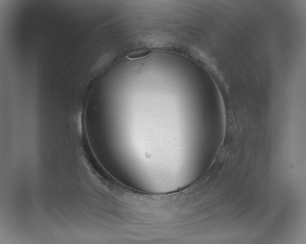 X0000071940019200607141445