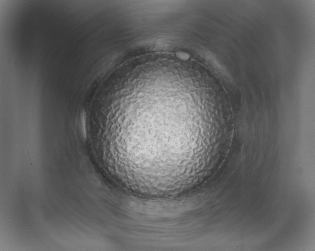 X0000071940022200607141445