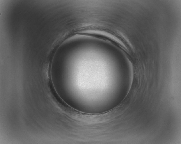 X0000071940023200607141445