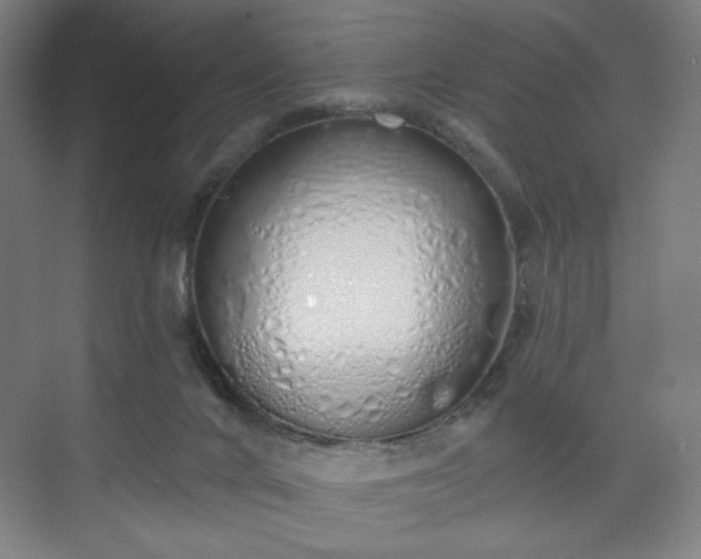 X0000071940024200607141445