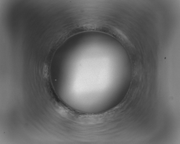X0000071940025200607141445
