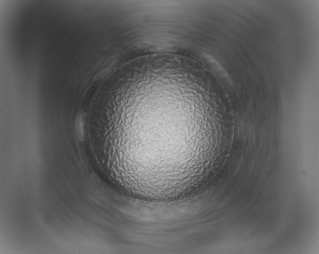 X0000071940026200607141445
