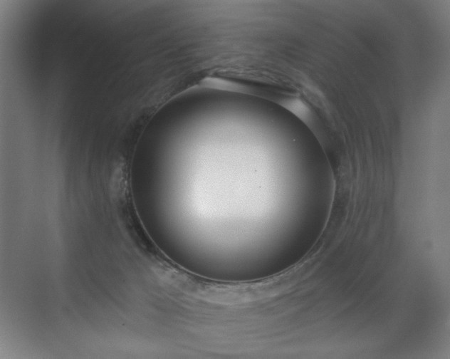 X0000071940029200607141444