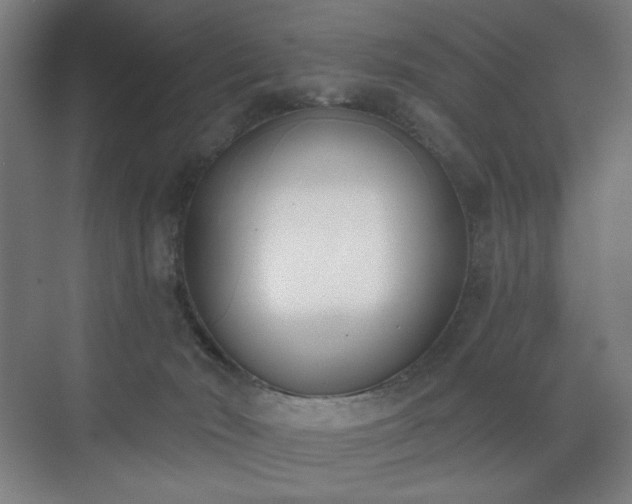 X0000071940030200607141444