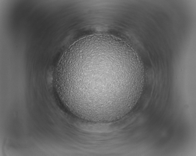 X0000071940032200607141444