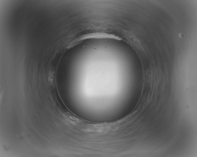 X0000071940033200607141444