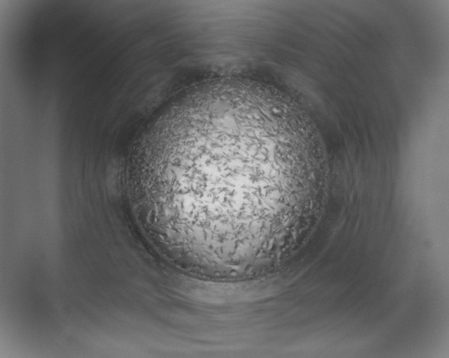 X0000071940034200607141444