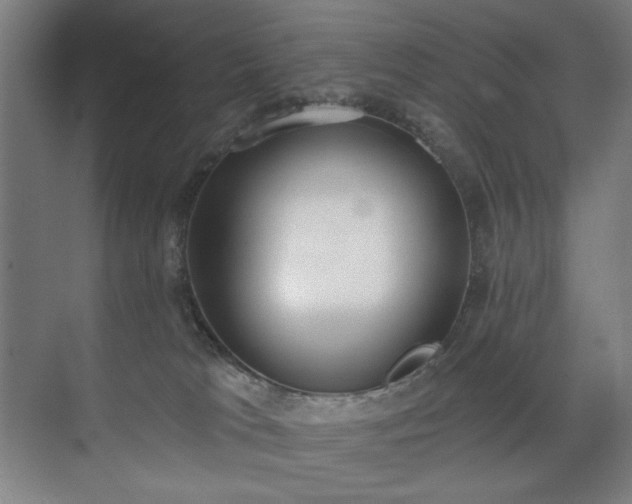 X0000071940037200607141444