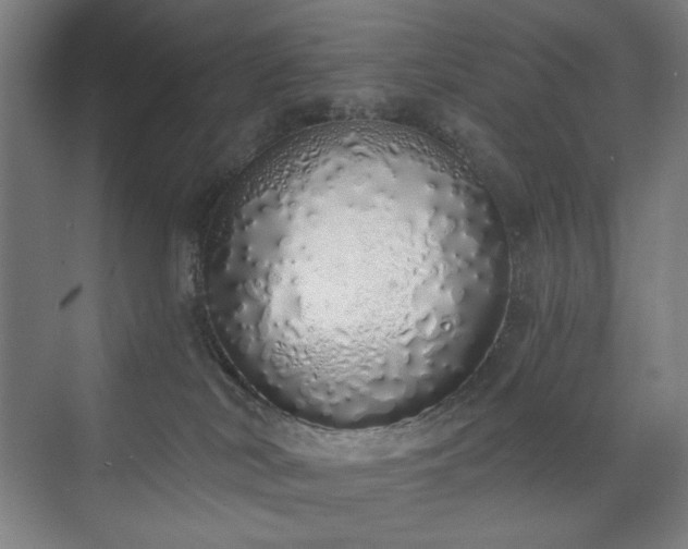 X0000071940038200607141444