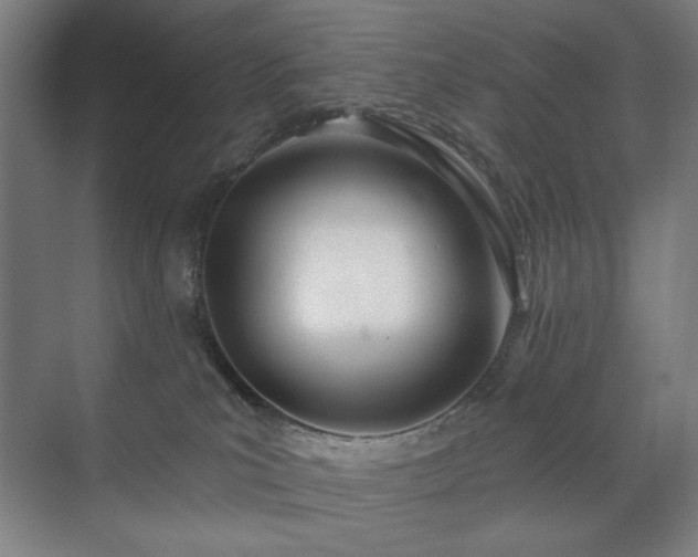 X0000071940039200607141444