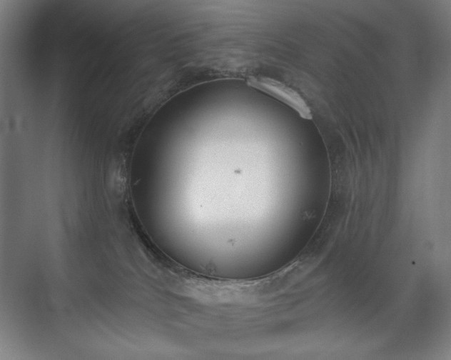 X0000071940040200607141444
