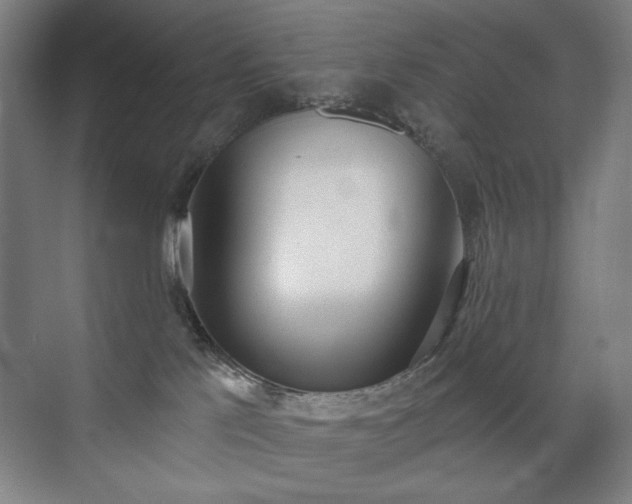 X0000071940041200607141444