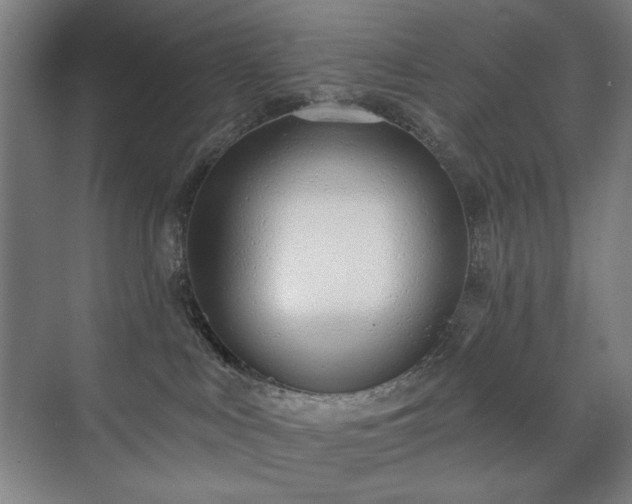 X0000071940043200607141444