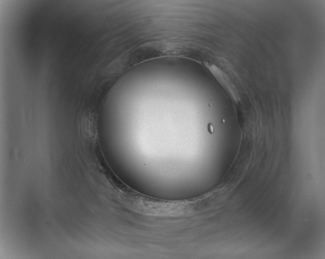 X0000071940044200607141444