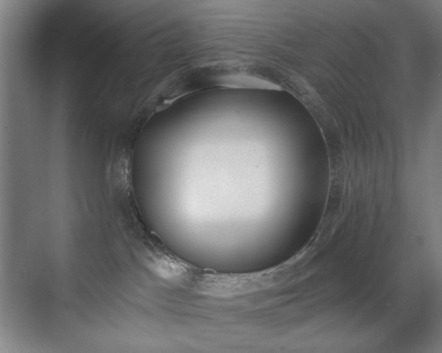 X0000071940045200607141444