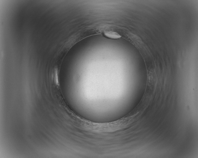 X0000071940046200607141444