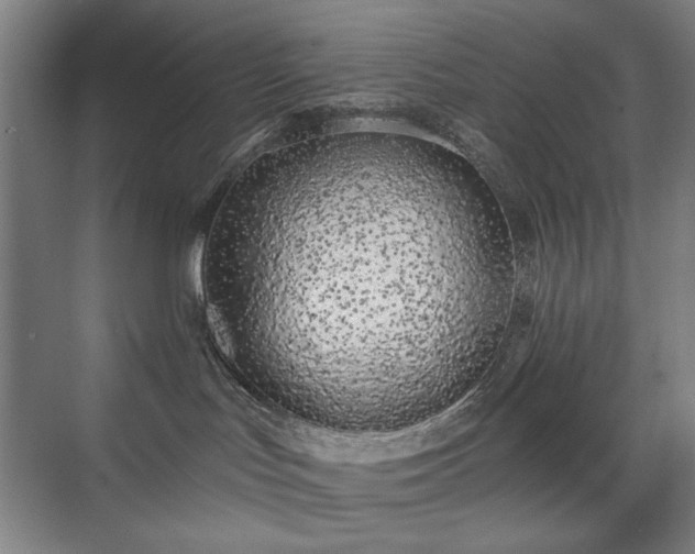 X0000071940047200607141444