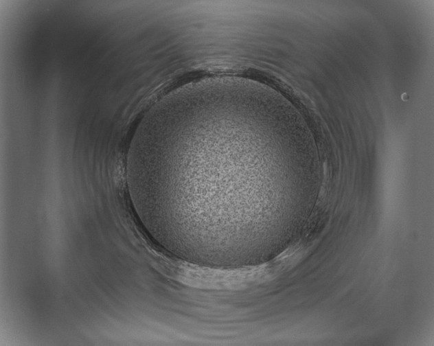 X0000071940048200607141444