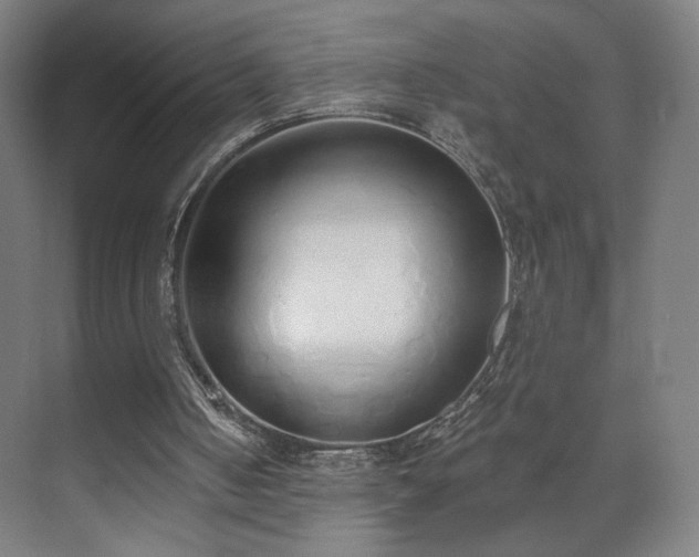 X0000071940050200607141443