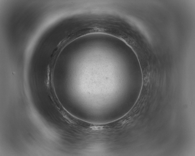 X0000071940052200607141443