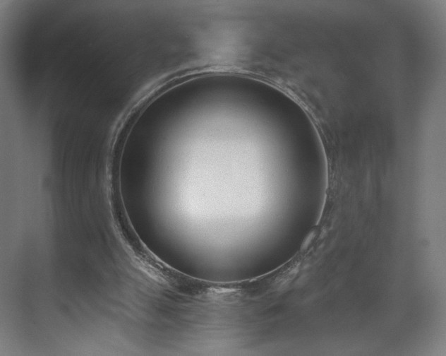 X0000071940055200607141443