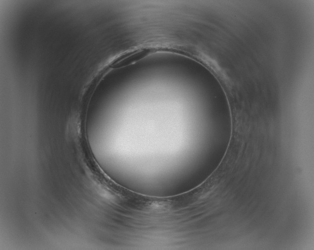 X0000071940060200607141444
