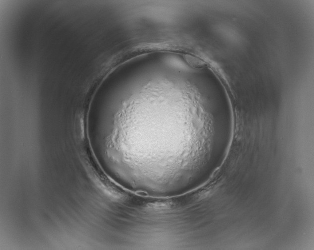 X0000071940061200607141444