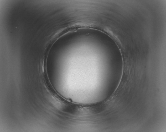 X0000071940062200607141444