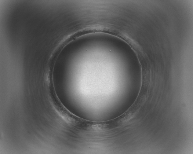 X0000071940064200607141444