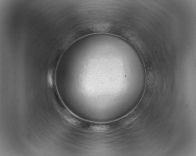 X0000071940069200607141444