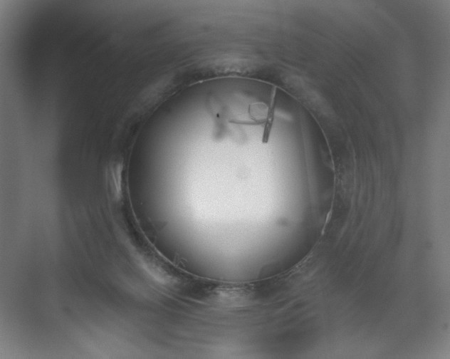 X0000071940070200607141444