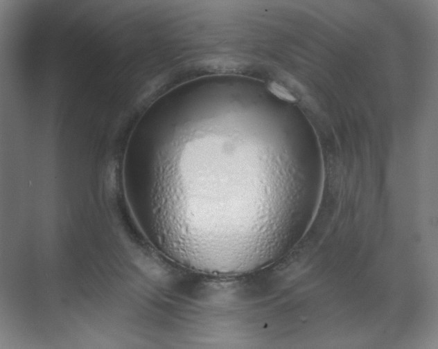 X0000071940071200607141444