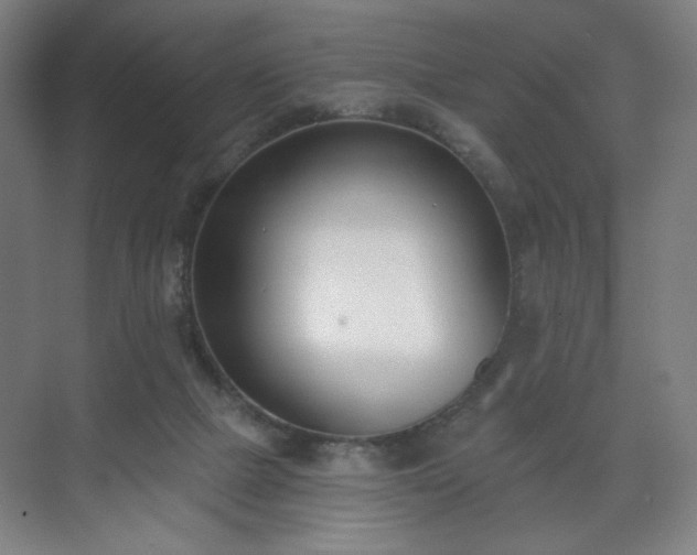 X0000071940073200607141444