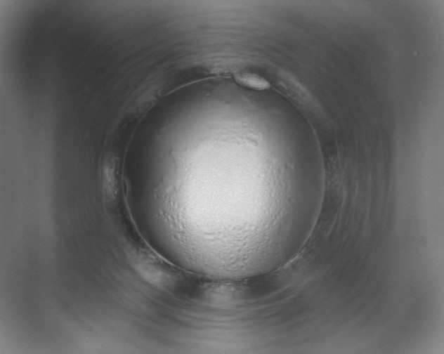 X0000071940074200607141444