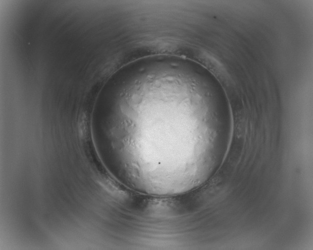 X0000071940077200607141444