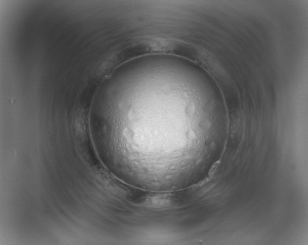 X0000071940078200607141444