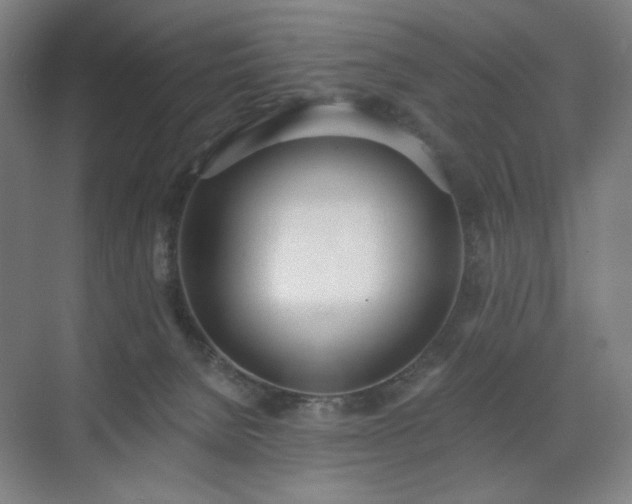 X0000071940080200607141444