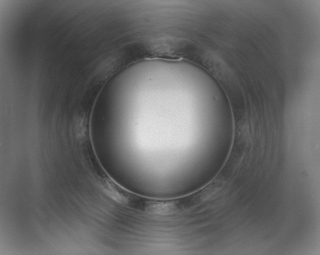 X0000071940081200607141444